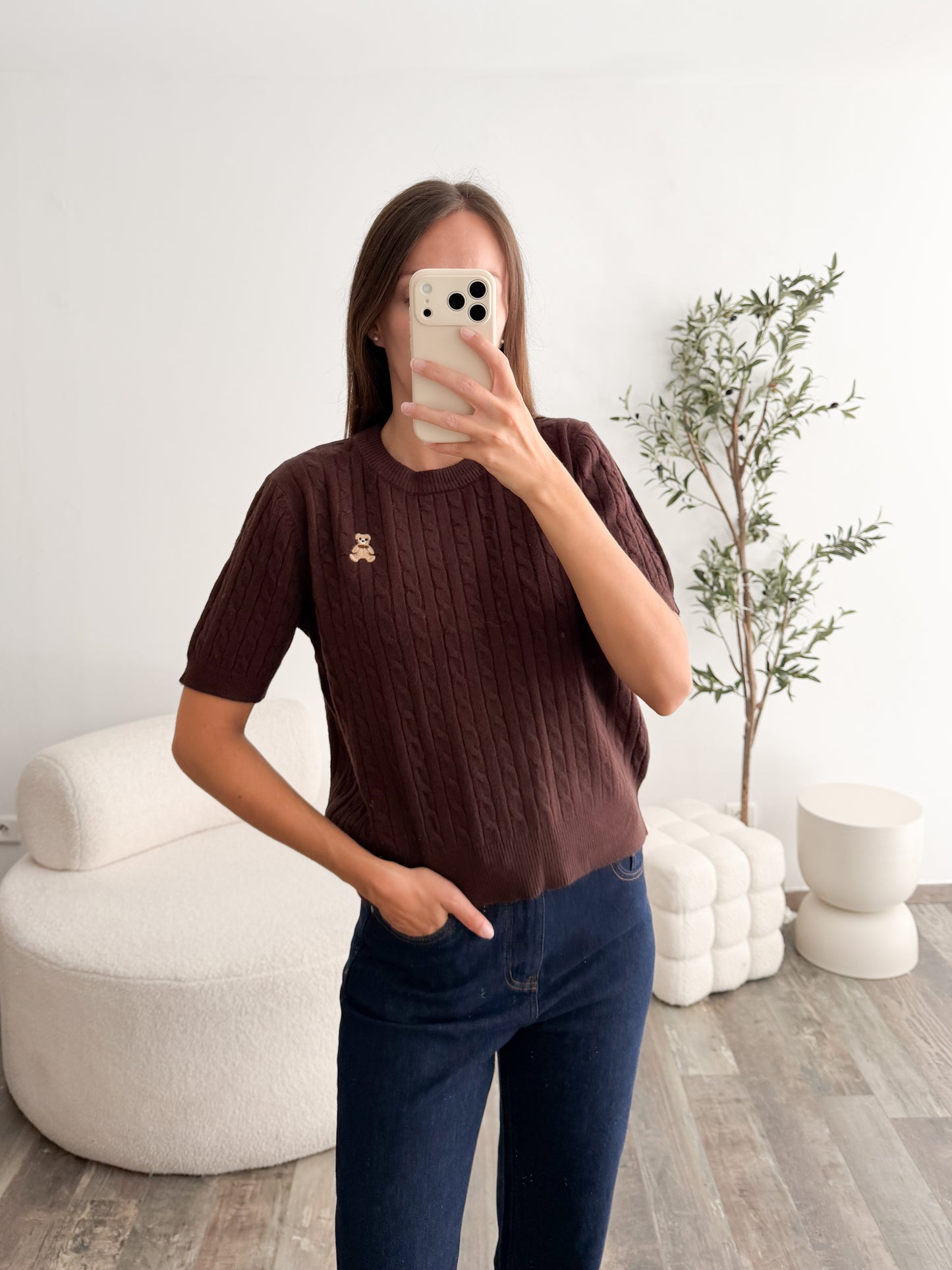 Pull ourson marron