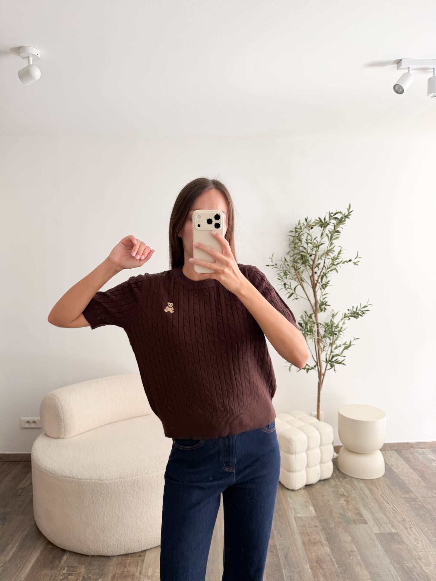 Pull ourson marron