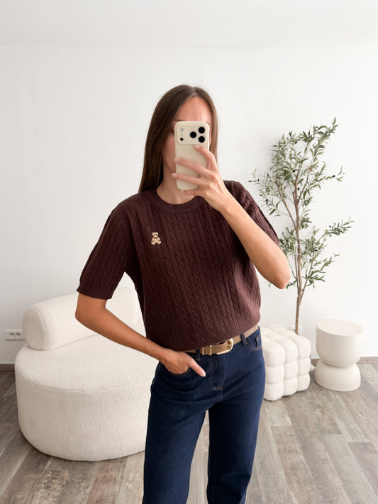 Pull ourson marron