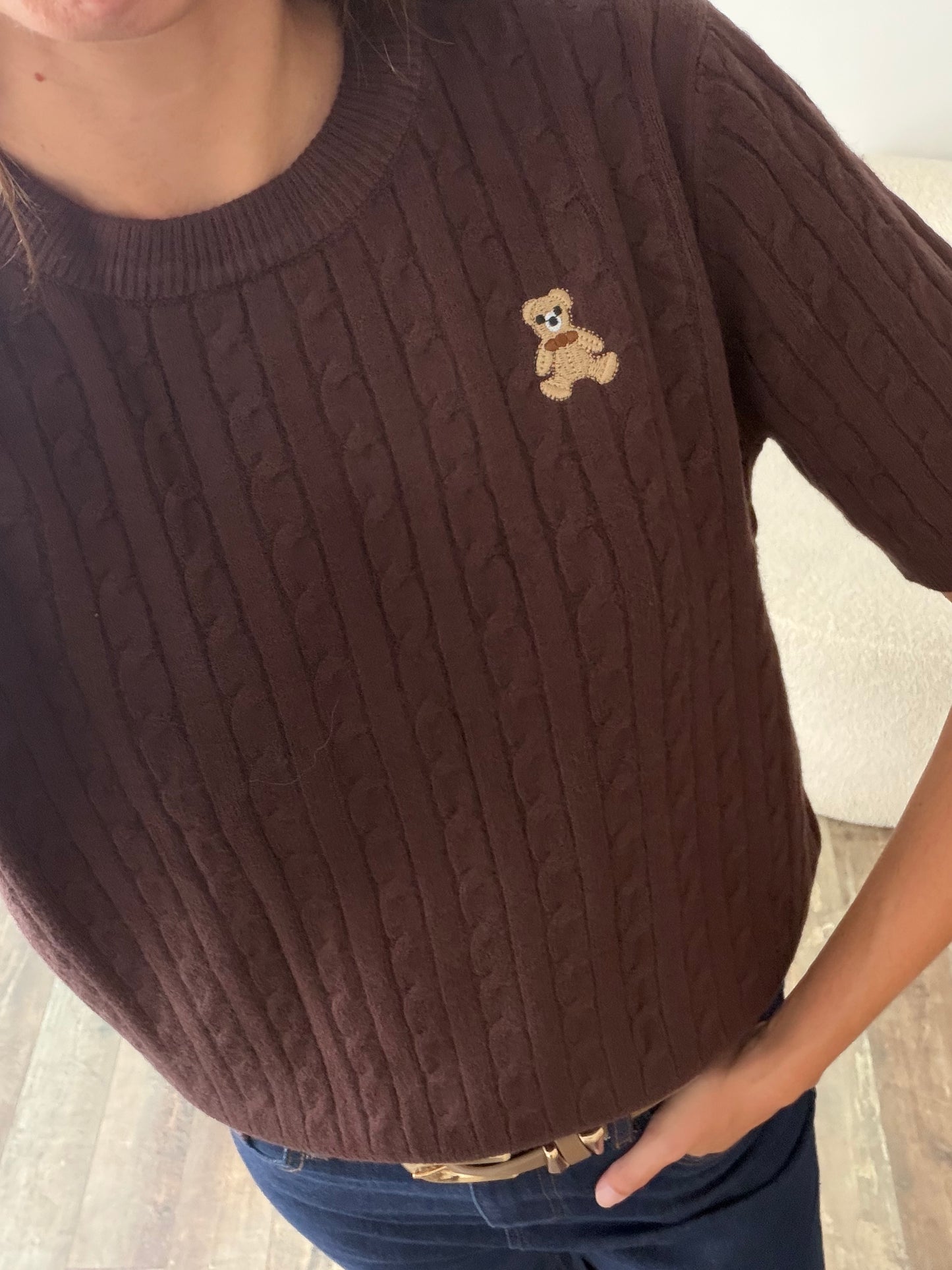 Pull ourson marron